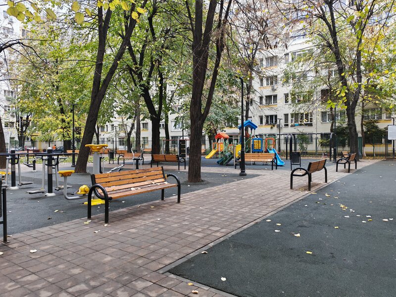 Mihai Bravu, Obor.