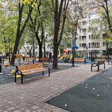 Mihai Bravu, Obor